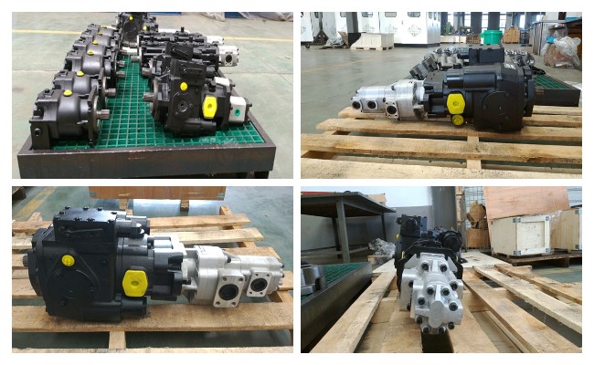 moteur hydraulique de pompe hydraulique de système d'entraînement