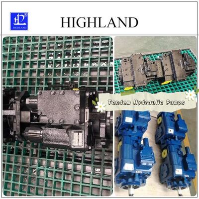 1 Year Cast Iron Tandem Hydraulic Pumps with Black Or Blue Color