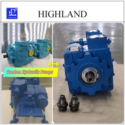 1 Year Cast Iron Tandem Hydraulic Pumps with Black Or Blue Color