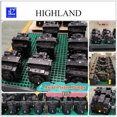 Hydraulic Pump With Manual Control For Hydraulic System Components